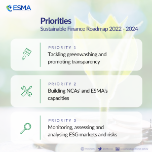 Sustainable Finance Roadmap Priorities